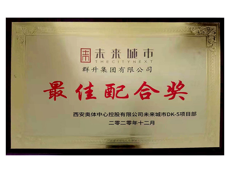 Best Cooperation Award